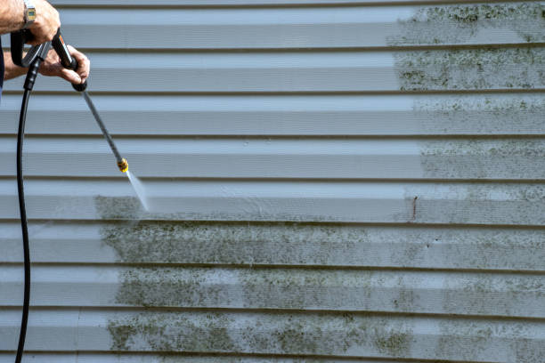 Best Furniture Removal  in Washgton, IN