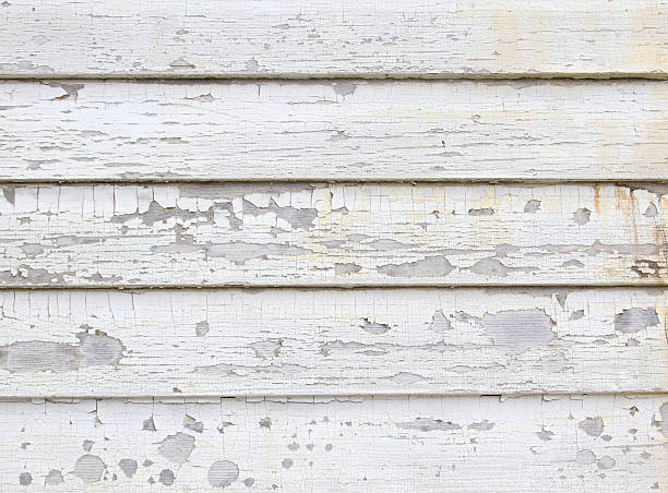 Best Construction Debris Removal  in Washgton, IN